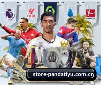 store-pandatiyu.com.cn APP